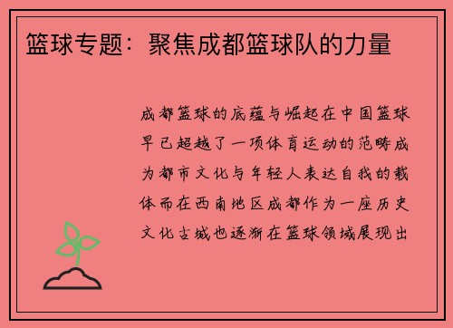 篮球专题：聚焦成都篮球队的力量